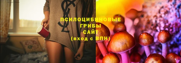 a pvp Абдулино