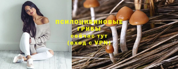 a pvp Абдулино